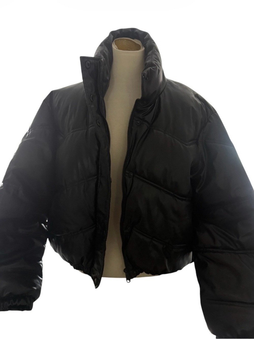 Zara Black Cropped Puffer Jacket with High Collar
